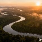 Yağmur Ormanları Efsaneleri